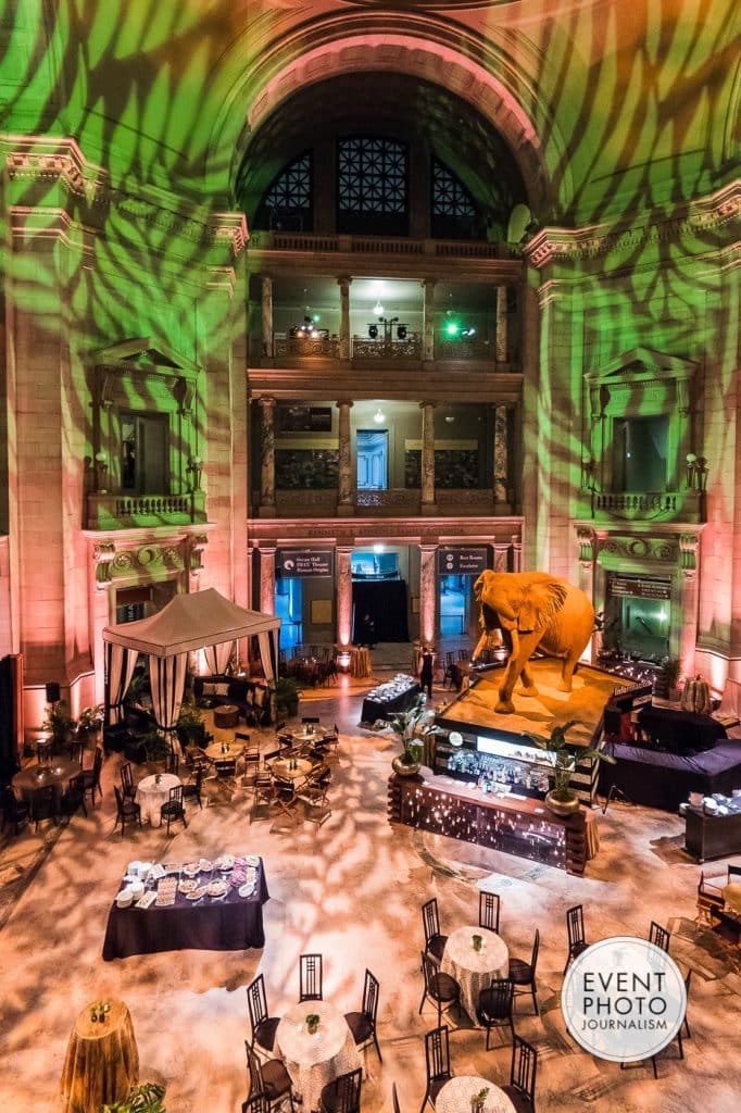 Safari Themed Dinner at Natural History Museum Gets a ...