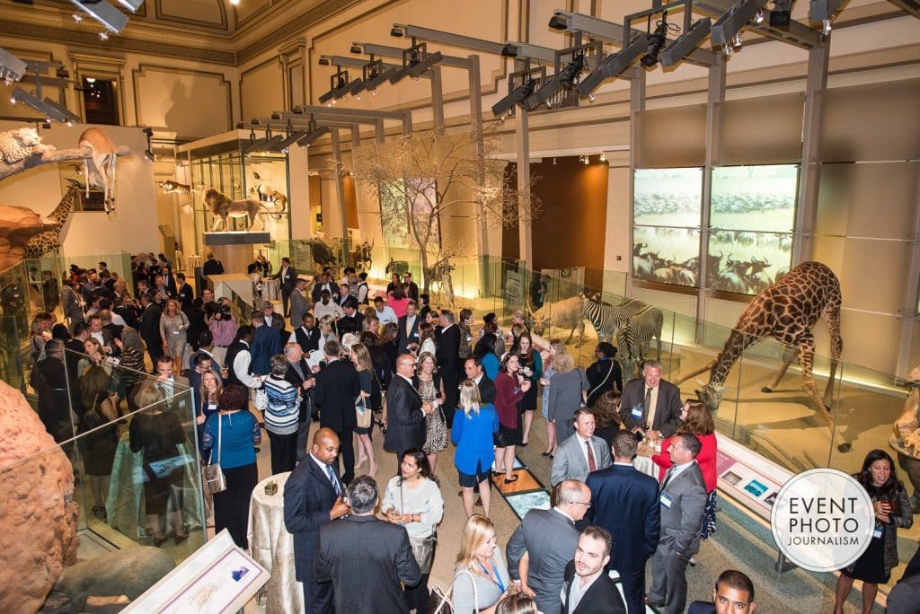 Safari Themed Dinner at Natural History Museum Gets a ...