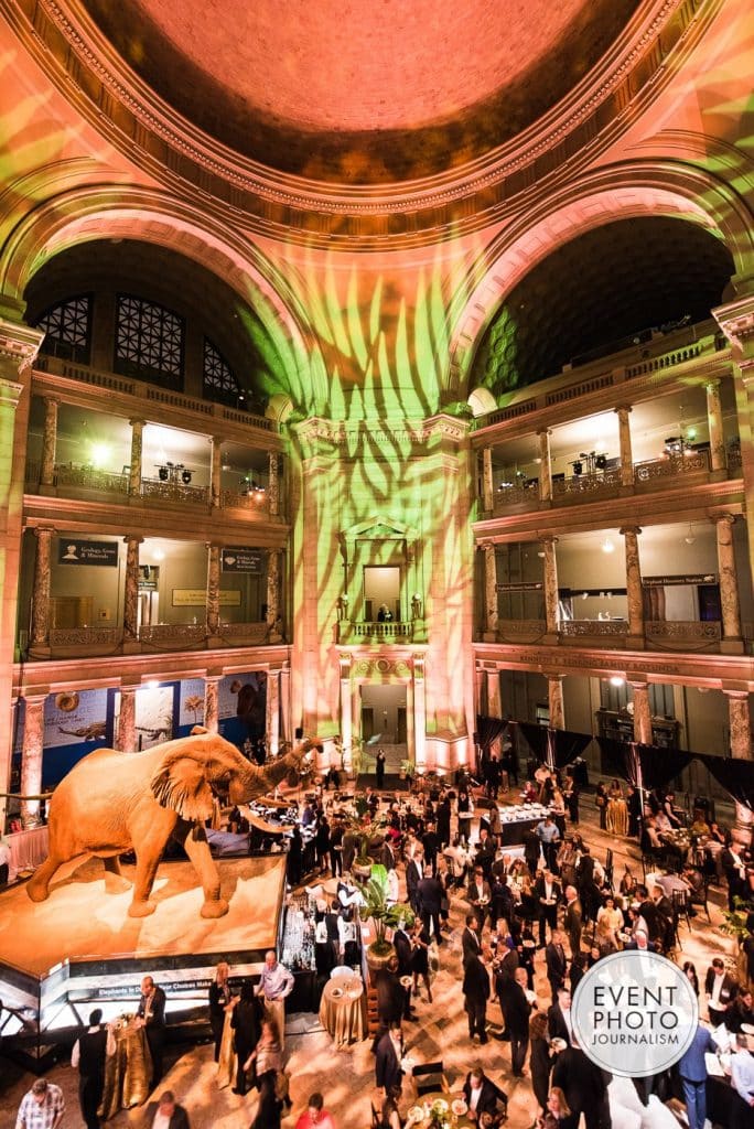 Safari Themed Dinner at Natural History Museum Gets a ...