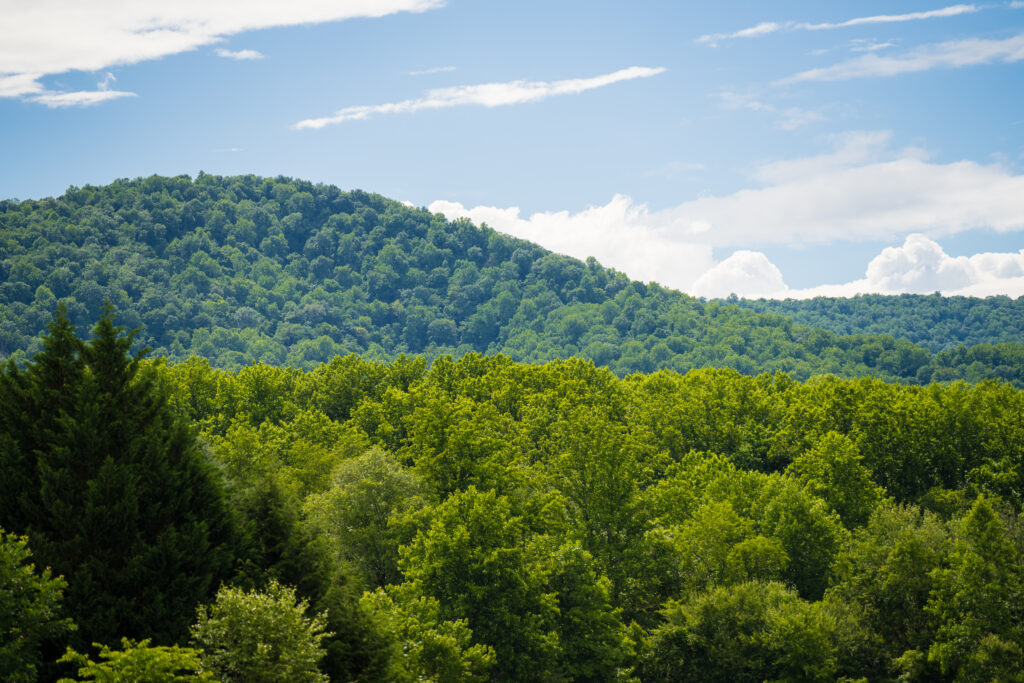 Red Fox Inn Middleburg Virginia Event and Reception Photography