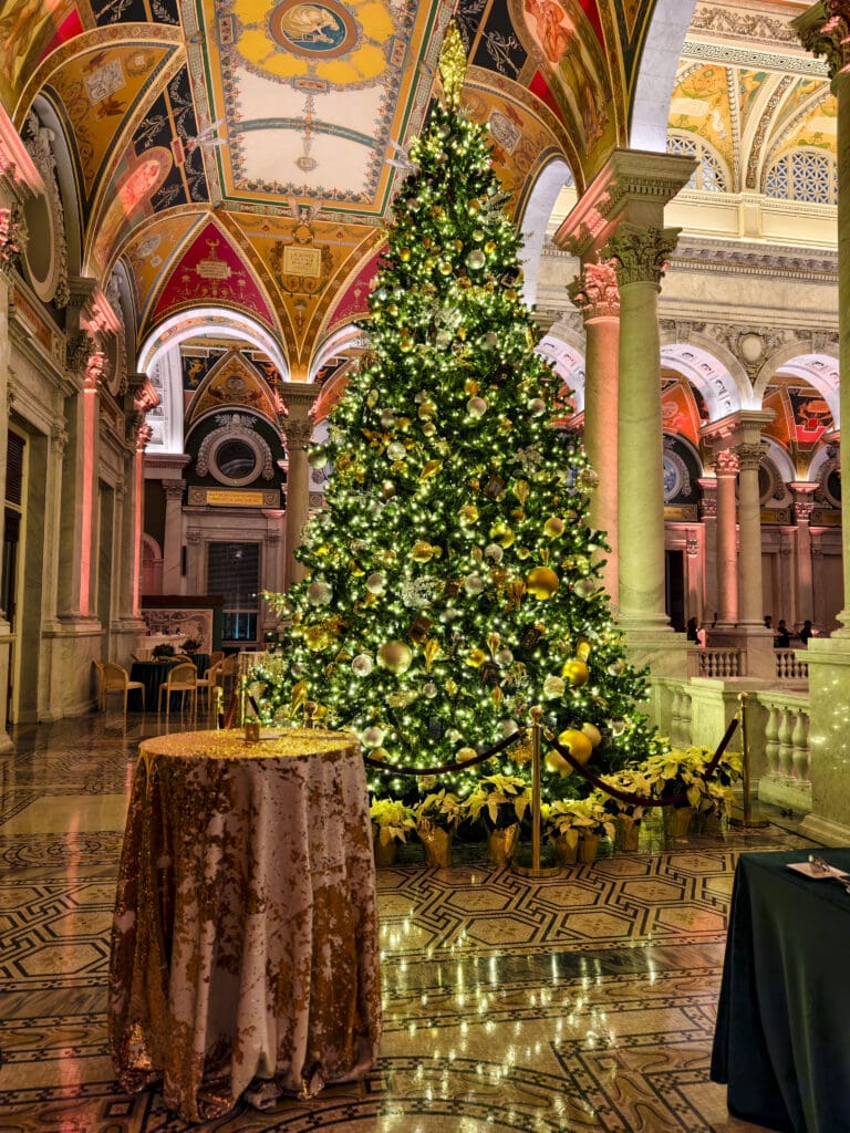 Holiday-Party-photographer-Celebration-End-of-Celebration-Event-Photojournalism-Washington-DC-photography